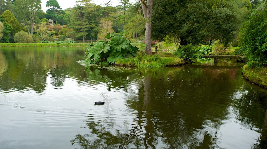 Nhà Vườn Mount Stewart trong đó bao gồm công viên và hồ nước