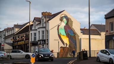 Portstewart which includes outdoor art