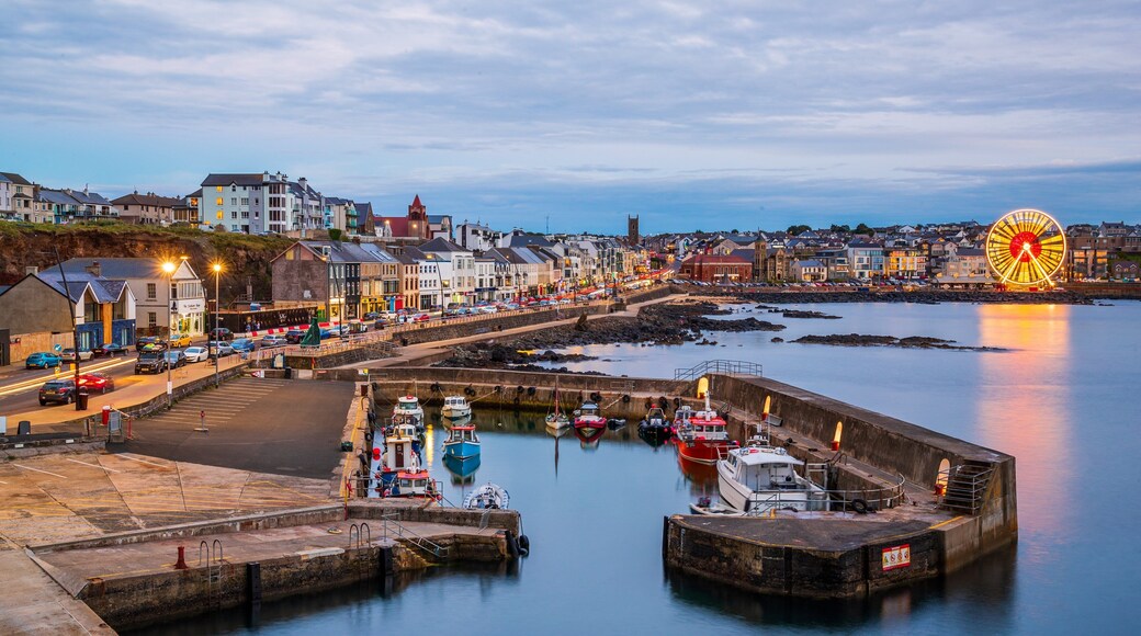 Portstewart which includes a city, night scenes and a bay or harbor