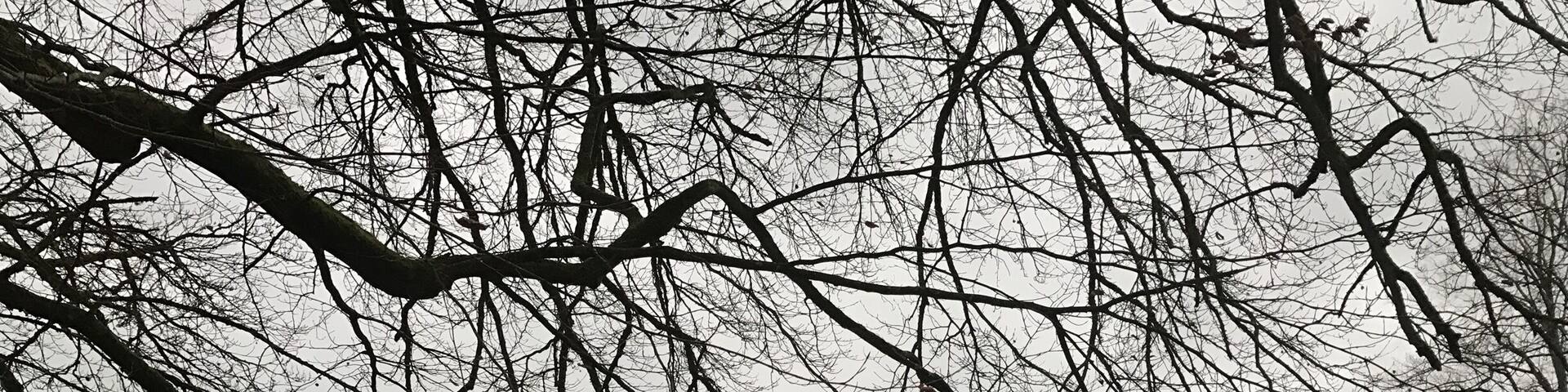 If you have a chance to stay in this castle, do it! #northernireland #castles