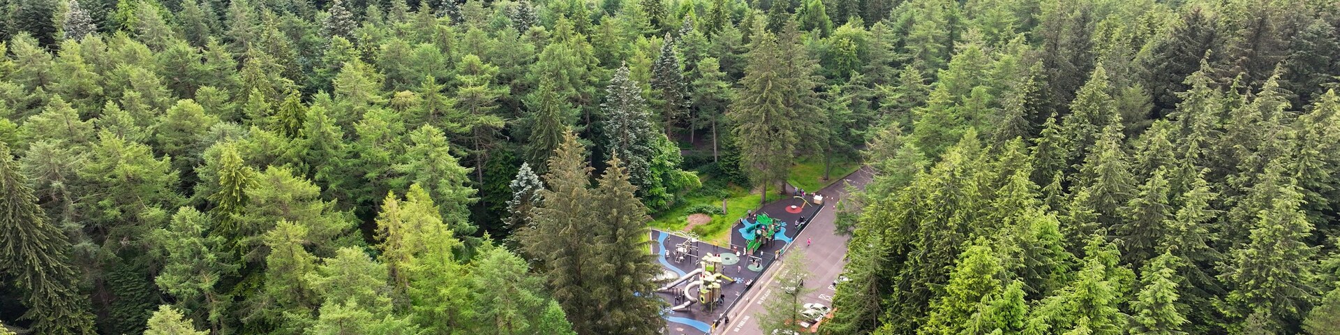 Un bosque frondoso con un parque infantil en el centro.