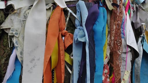 The Fairy Tree - Doon Hill.