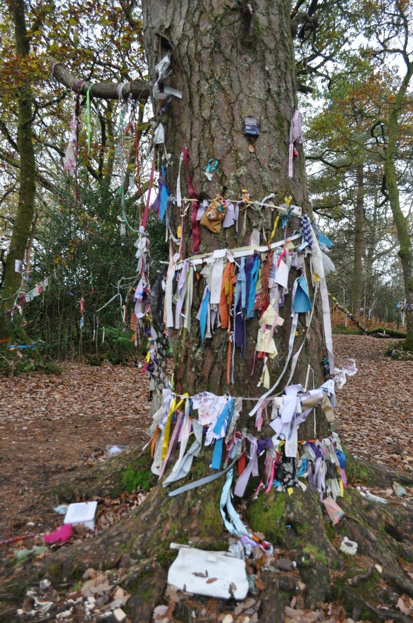 Doon Hill - Perthshire.

The Fairy Tree.

http://www.mysteriousbritain.co.uk/scotland/stirlingshire/featured-sites/doon-hill-and-robert-kirk.html