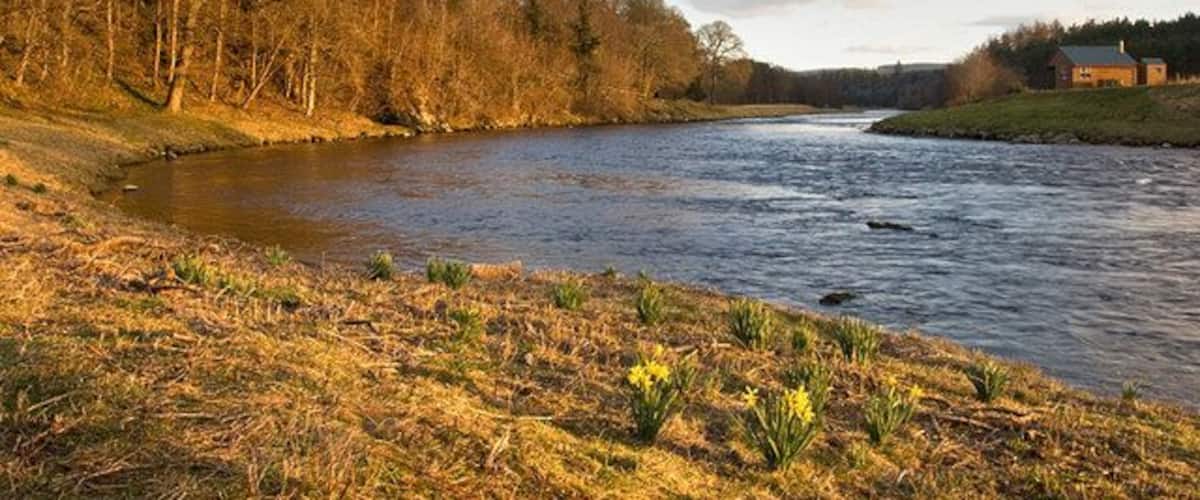 A river with a grassy bank, trees, and a house in the distance.