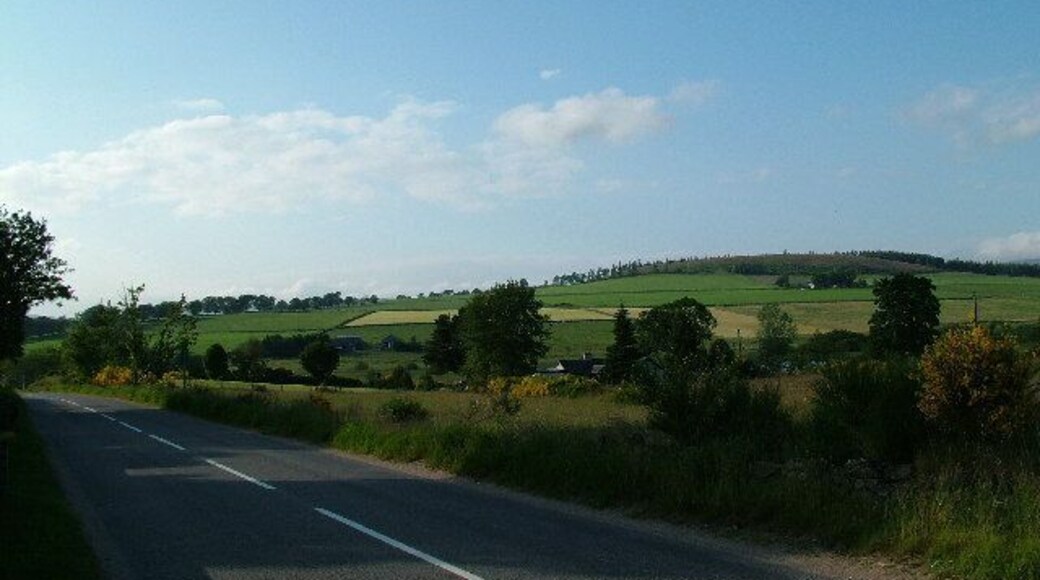 Farmland near Ordie.