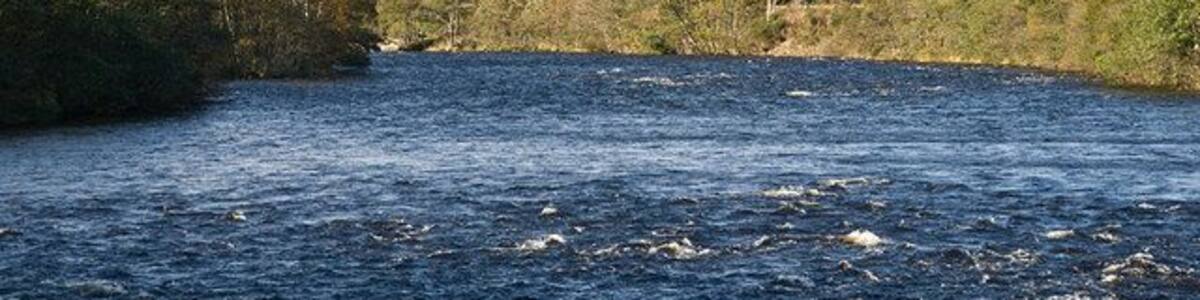 The River Dee opposite the sawmill near Burnroot Morven is in the distance about 8 miles away.