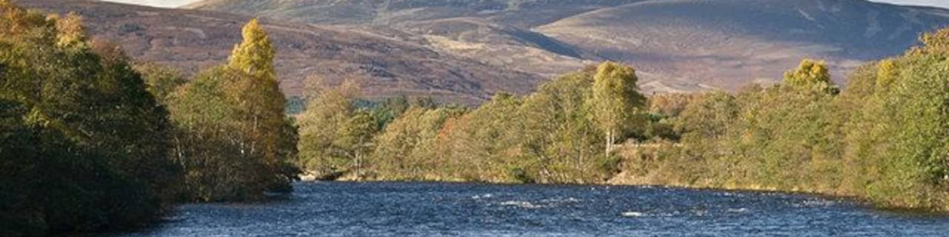The River Dee opposite the sawmill near Burnroot Morven is in the distance about 8 miles away.