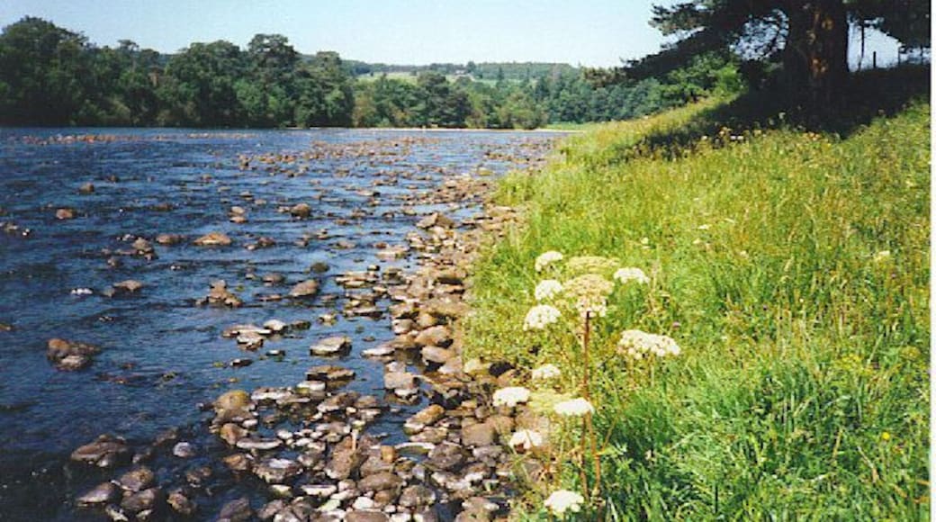 The River Dee at Kincardine O'Neil. There was once a ford by this spot.