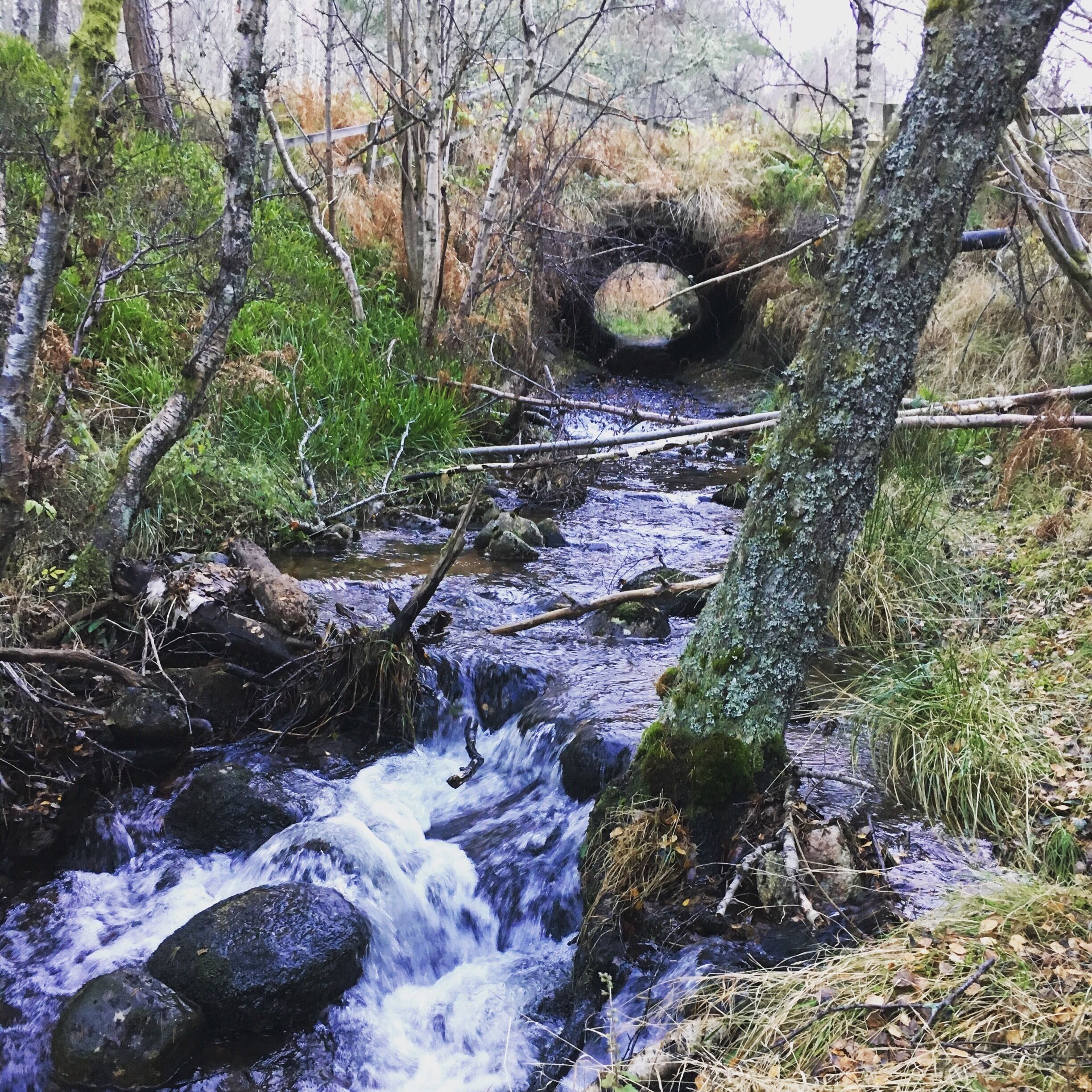 Nice walk around here but wrap up warm 