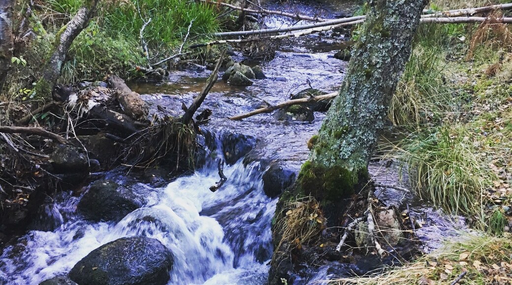 Nice walk around here but wrap up warm