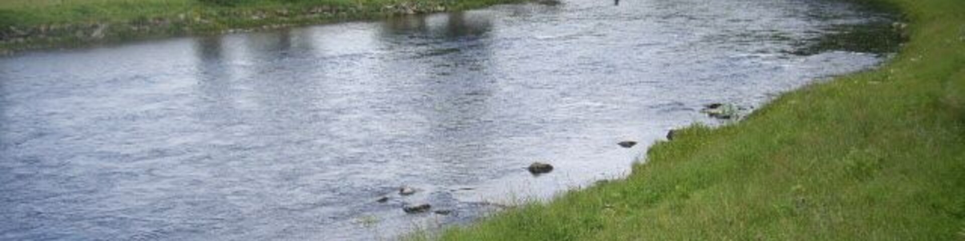 Angler in the Dee Near Carlogie Farm.