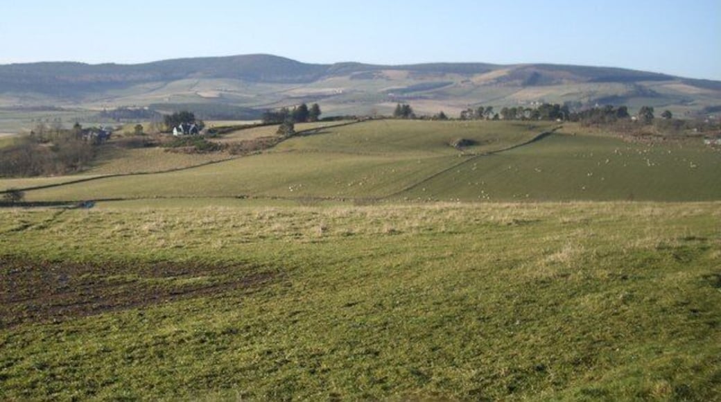 View NW from plantation summit Milltown of Auchlossan on the left.