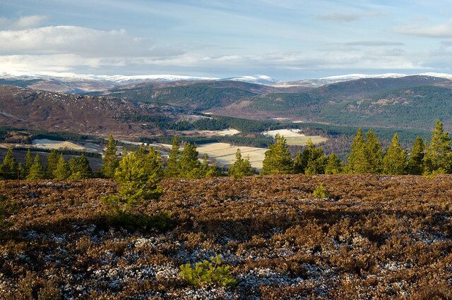 A mountainous landscape with a valley, scattered trees, and snow-capped hills.