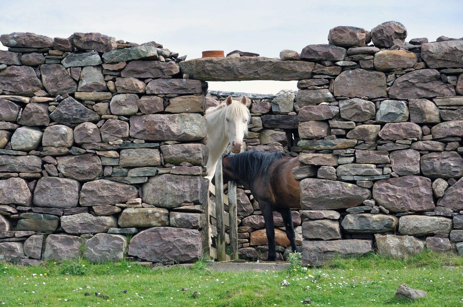 Wot You Looking At ?