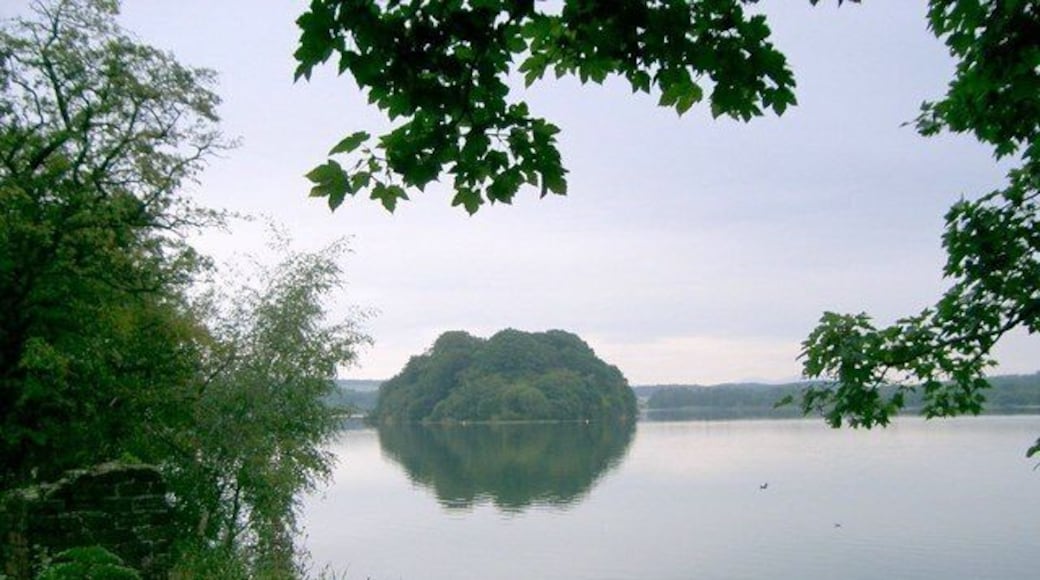 Gartmorn Dam. Gartmorn Dam used to supply water to the many coal mines which were prevalent in this area, it is now the main feature in Gartmorn Country Park.