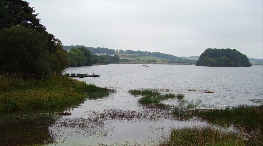 Gartmorn Dam. Oldest reservoir in Scotland. Once surrounded by collierys.