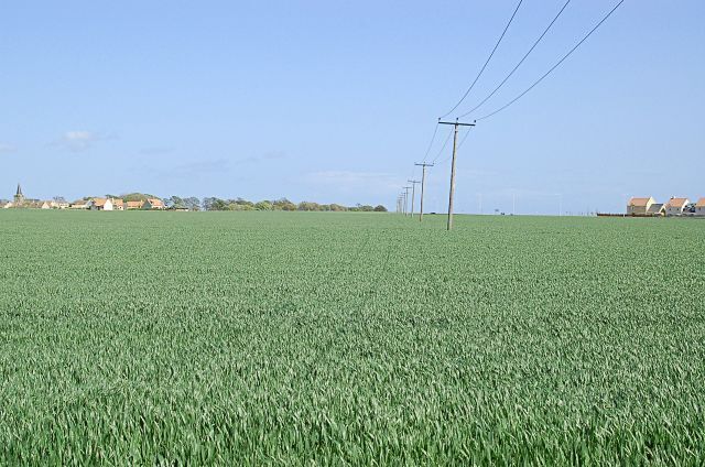 Kilrenny Cellarydyke gap The gap between Anstruther/Cellardyke on the right, and Kilrenny gets even smaller. It's not a wonky shot the power line does lean into the SE wind, honest.