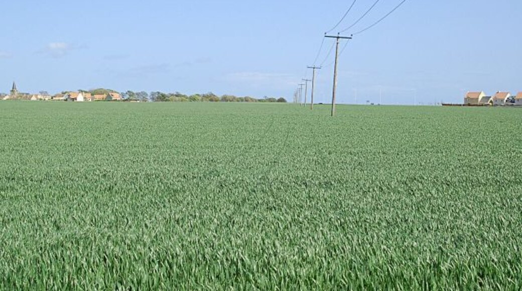 Kilrenny Cellarydyke gap The gap between Anstruther/Cellardyke on the right, and Kilrenny gets even smaller. It's not a wonky shot the power line does lean into the SE wind, honest.
