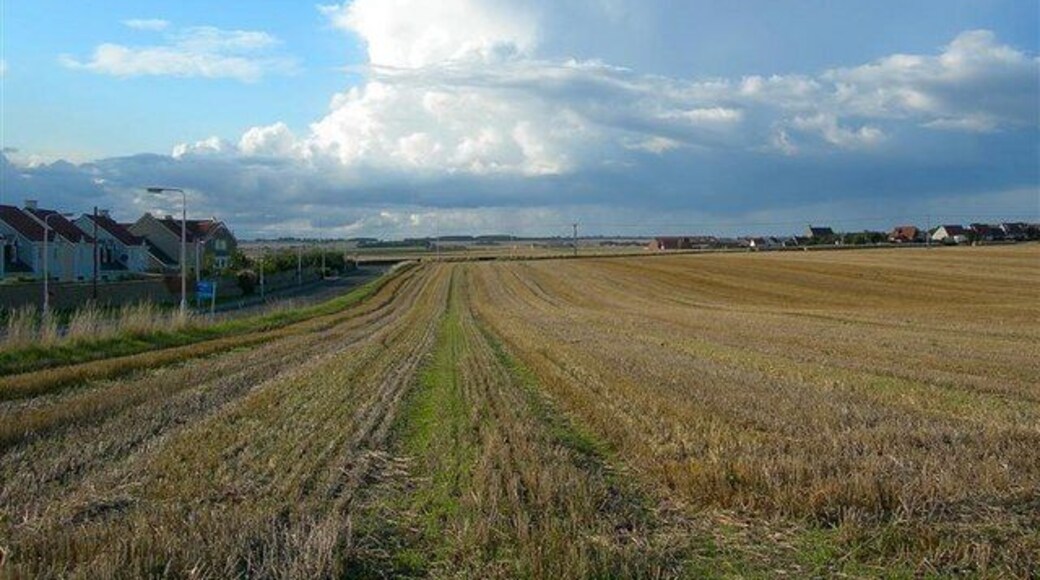 Beside Windmill Road Looking along the stubble field beside Windmill Road. The rain fell somewhere else.