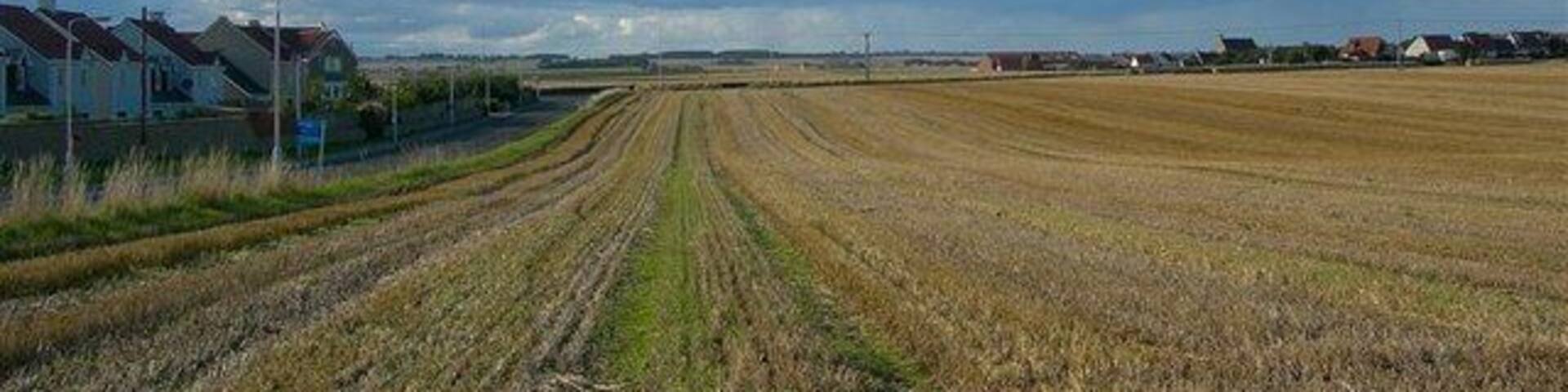 Beside Windmill Road Looking along the stubble field beside Windmill Road. The rain fell somewhere else.
