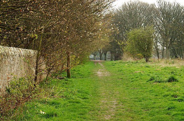 By Innergellie House The start of the right of way across Kilrenny Common by the walls of Innergellie House. Looking back to Kilrenny.