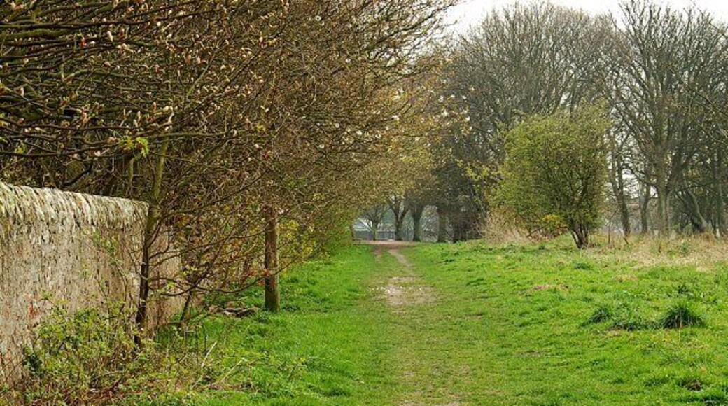 By Innergellie House The start of the right of way across Kilrenny Common by the walls of Innergellie House. Looking back to Kilrenny.
