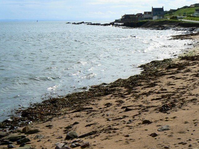 Seaweed on the shore Sandy beach beside Kilrenny Mill caravan site with the eastern extremity of Cellardyke village in the background.
