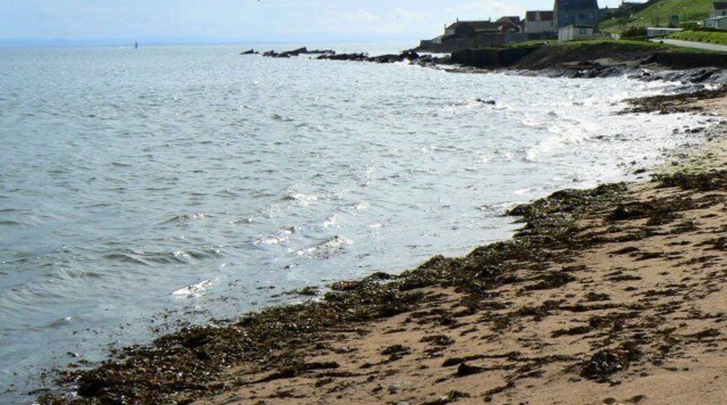 Seaweed on the shore Sandy beach beside Kilrenny Mill caravan site with the eastern extremity of Cellardyke village in the background.