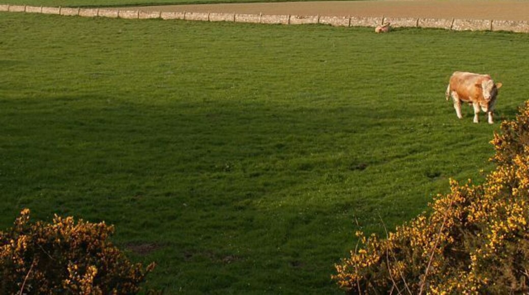 Backfields From near the old railway bridge looking across fields towards Backfields.