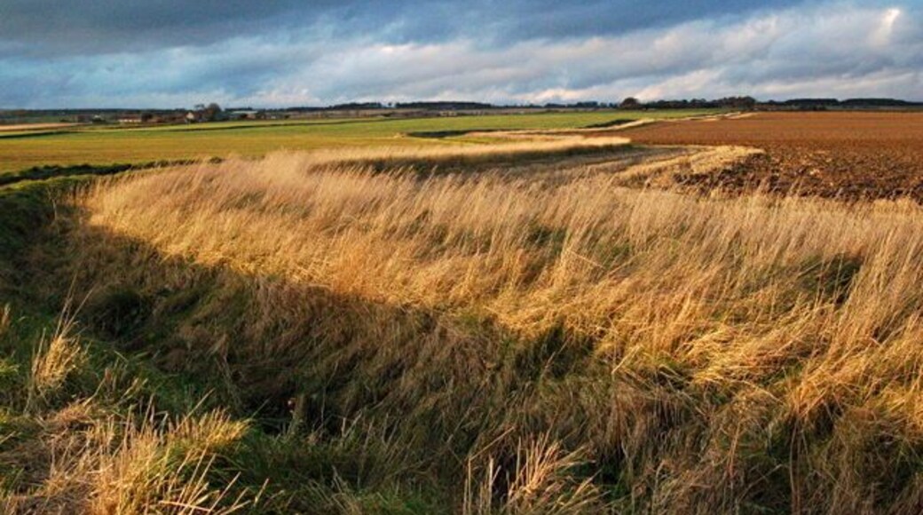 Towards Pitkierie The road and burn snaking across Kilrenny Common towards Pitkierie and Frithfield