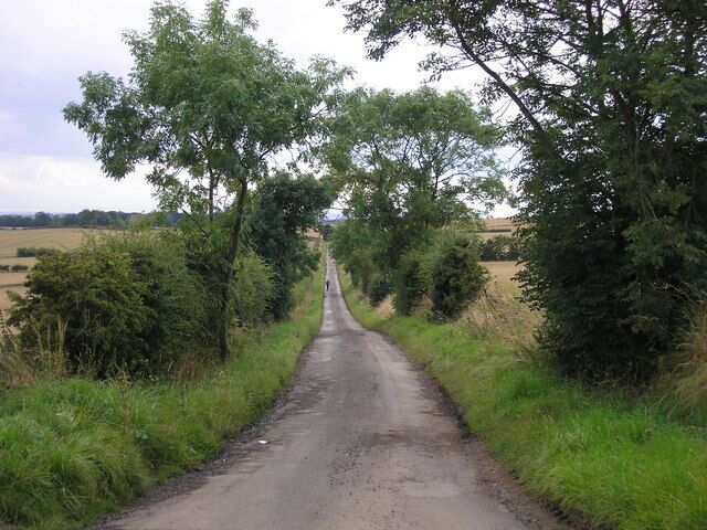 The road from Carnbee to Arncroach