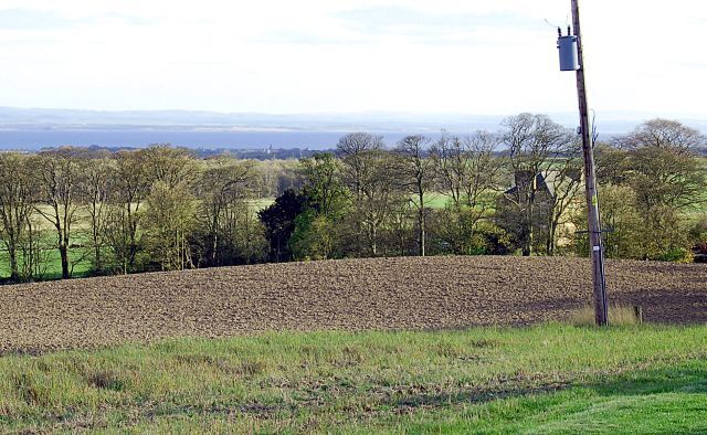 A plowed field, a utility pole, and a line of trees in a rural landscape.