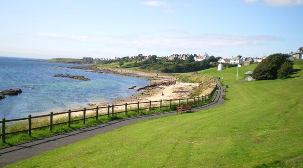 Roome Bay from the eastern end.. The park is basically located on a raised beach, of which there are better examples all along this stretch of the coastline. The white building at the far end of the grass is the Crail doocot 217203 and 482806.