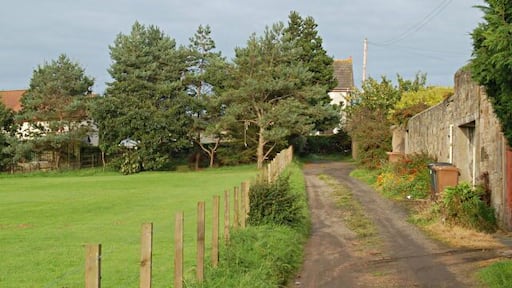 Anstruther track View eastwards along the track at the end of Farm Road. It may well be part of the original Farm Road, but I don't know and will amend if anybody knows different.
