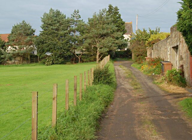 A rural road flanked by wooden fences and trees, leading to a house with a red roof.