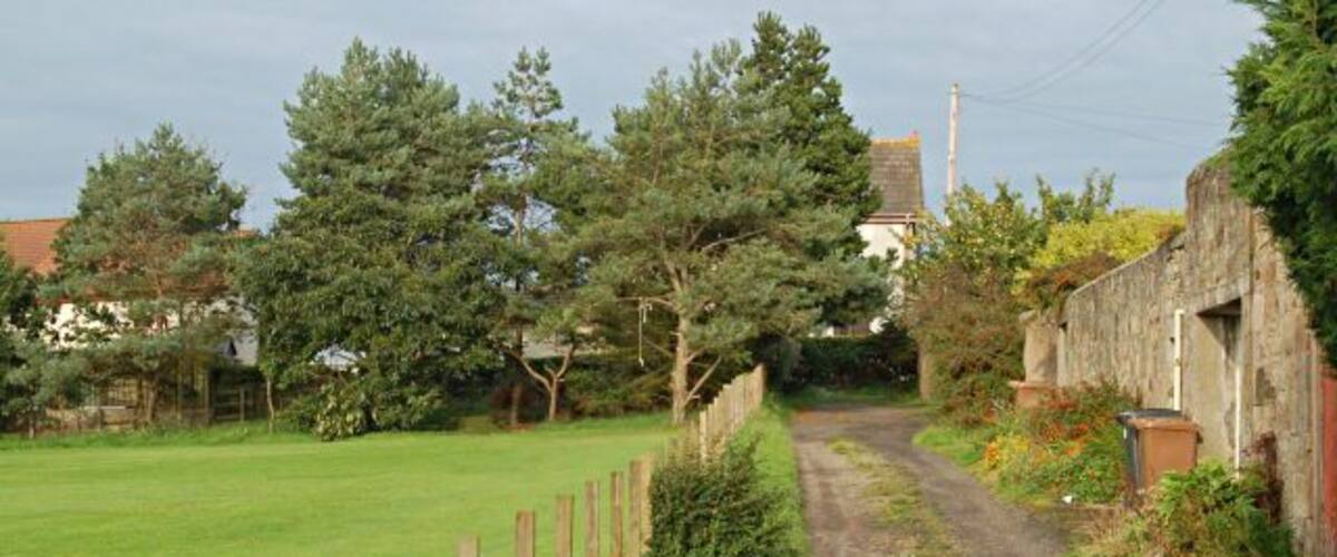 A rural road flanked by wooden fences and trees, leading to a house with a red roof.