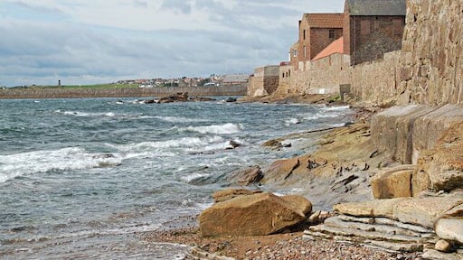 Cellardyke Seafront Where does Anstruther end and Cellardyke begin, somewhere along here I think but I don't know for sure.