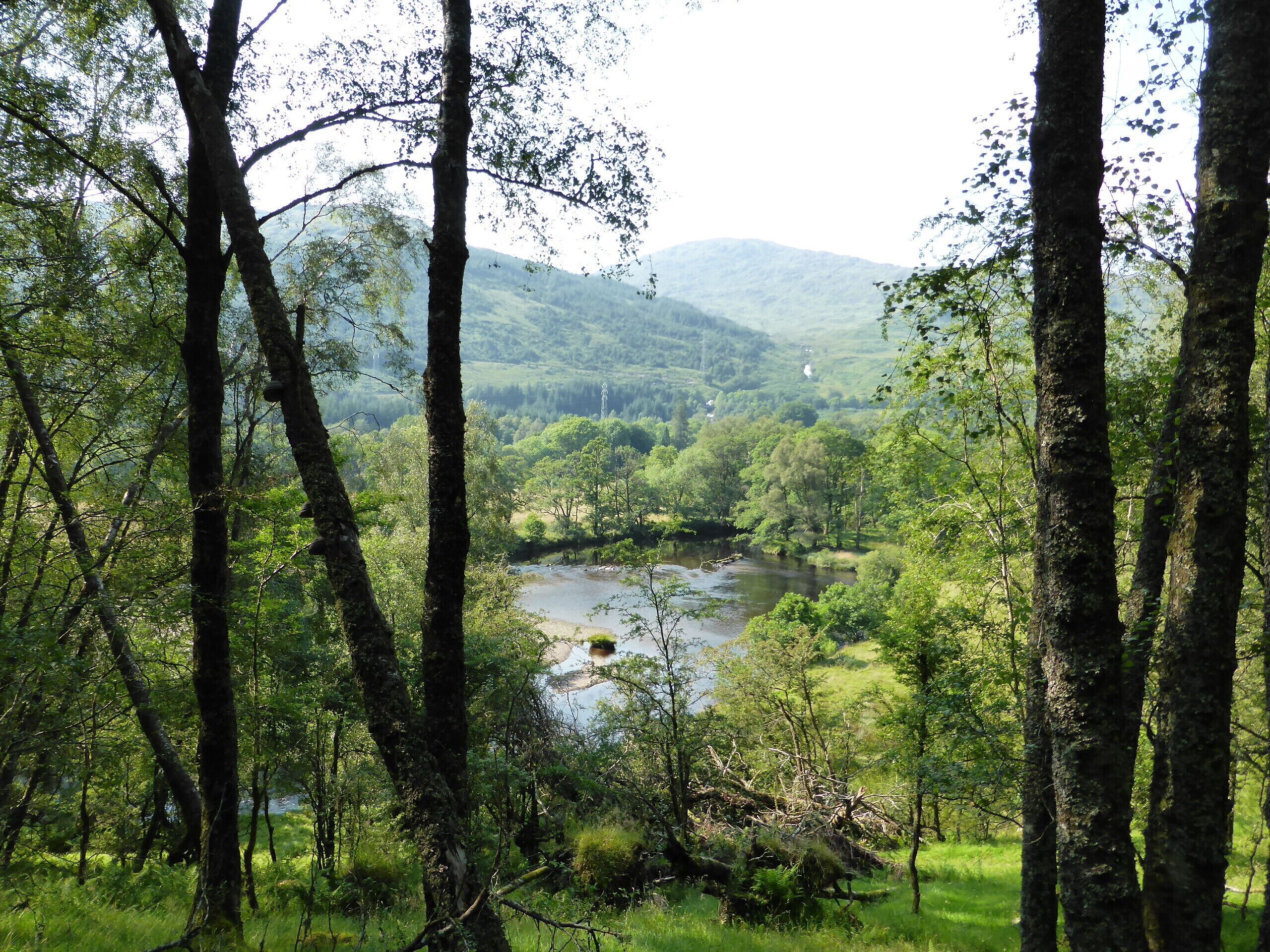 West Highland Way zwischen Inversnaid und Inverarnan.