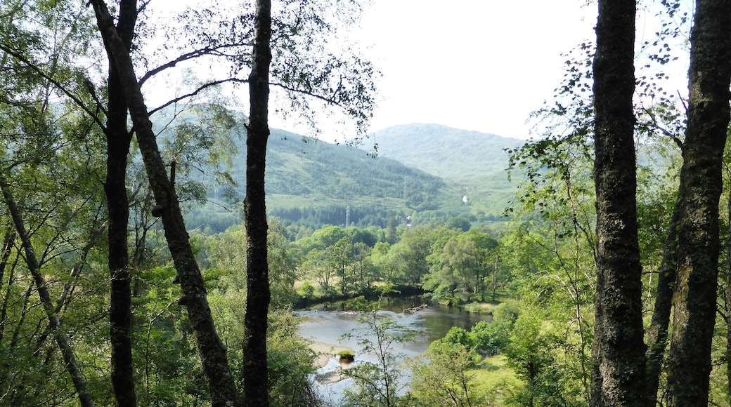 West Highland Way zwischen Inversnaid und Inverarnan.
