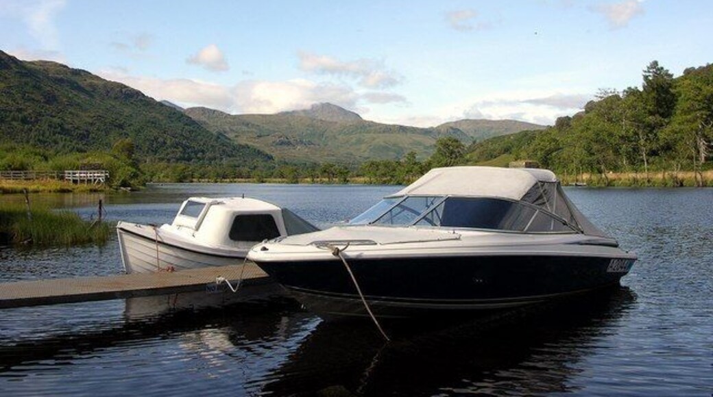 Boats on mooring, Ardlui Marina & Caravan Park. This stretch of water at the northern end of Loch Lomond provides a shelter for otters that can be commonly seen crossing between banks......