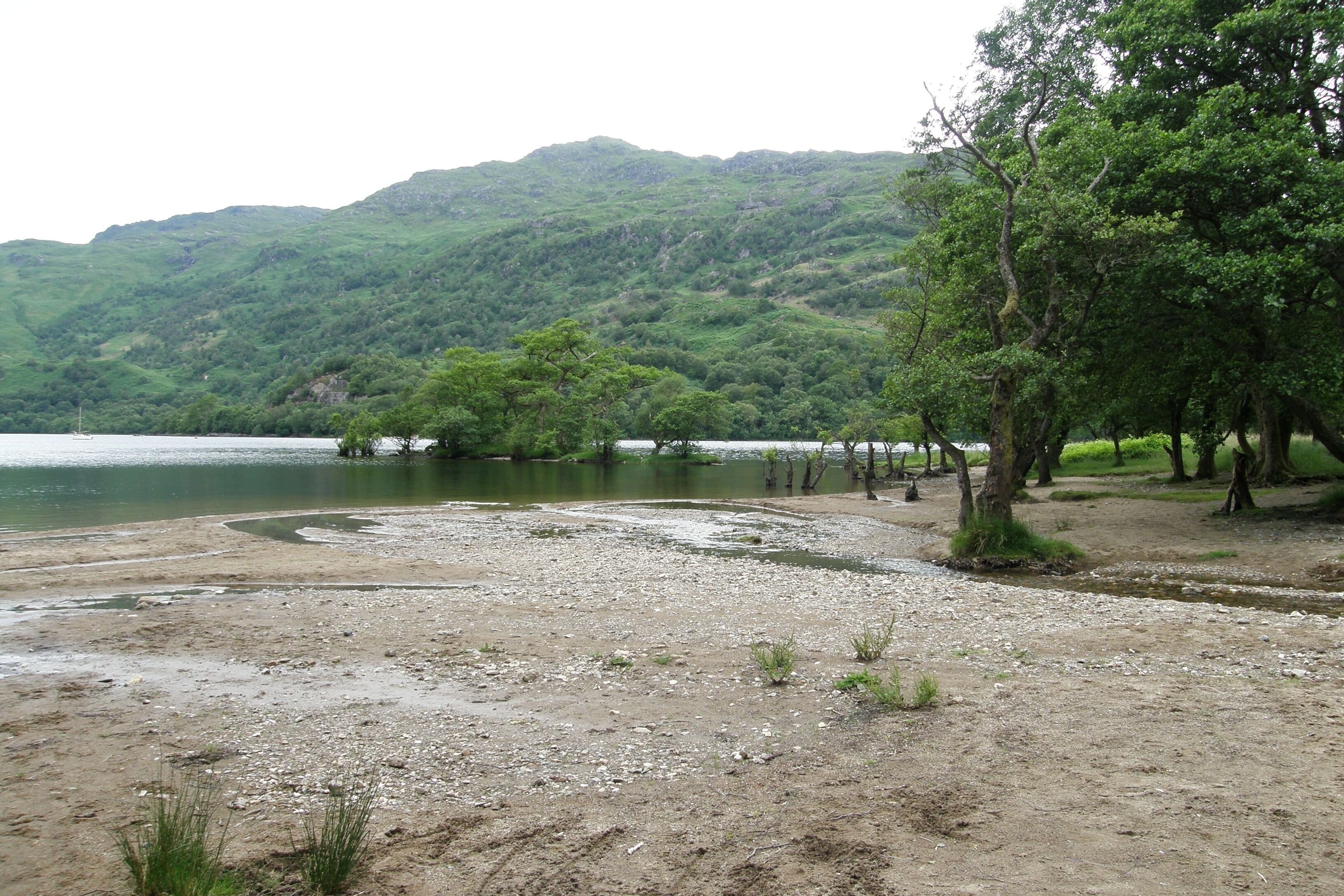 A riverbank with trees and a mountainous backdrop.