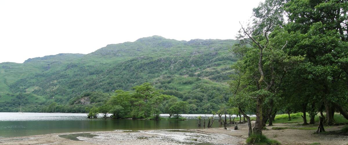 A riverbank with trees and a mountainous backdrop.