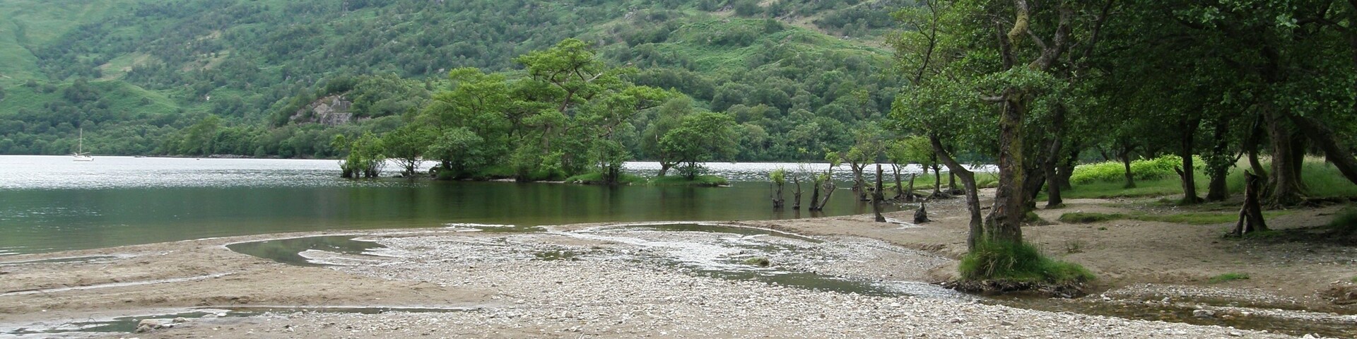 A riverbank with trees and a mountainous backdrop.