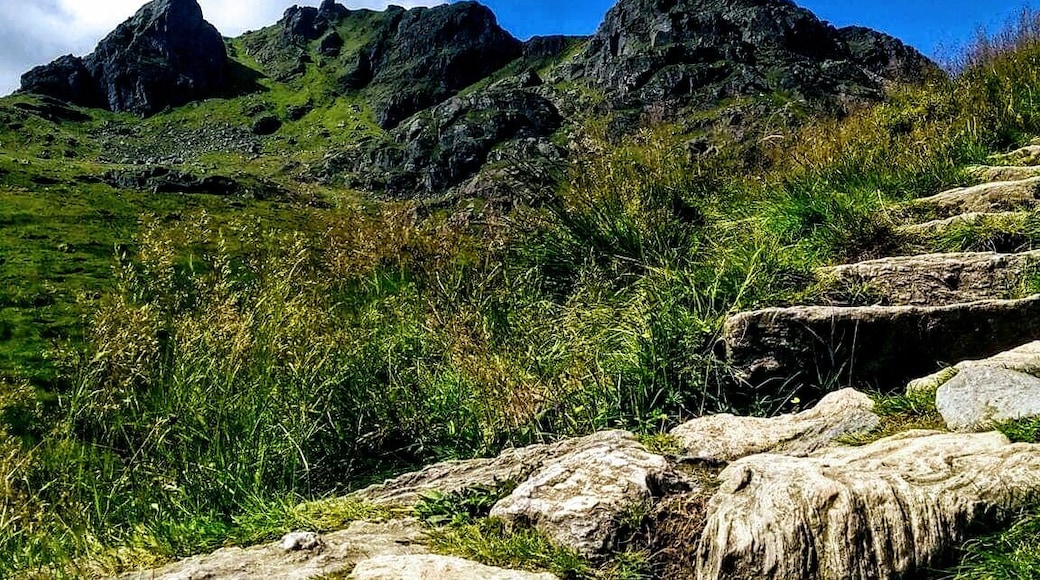 The cobbler looking good in the summer #hiking#nature#camping#scotland