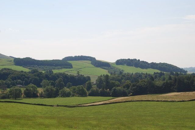 Breconside Woods from Hunterheck