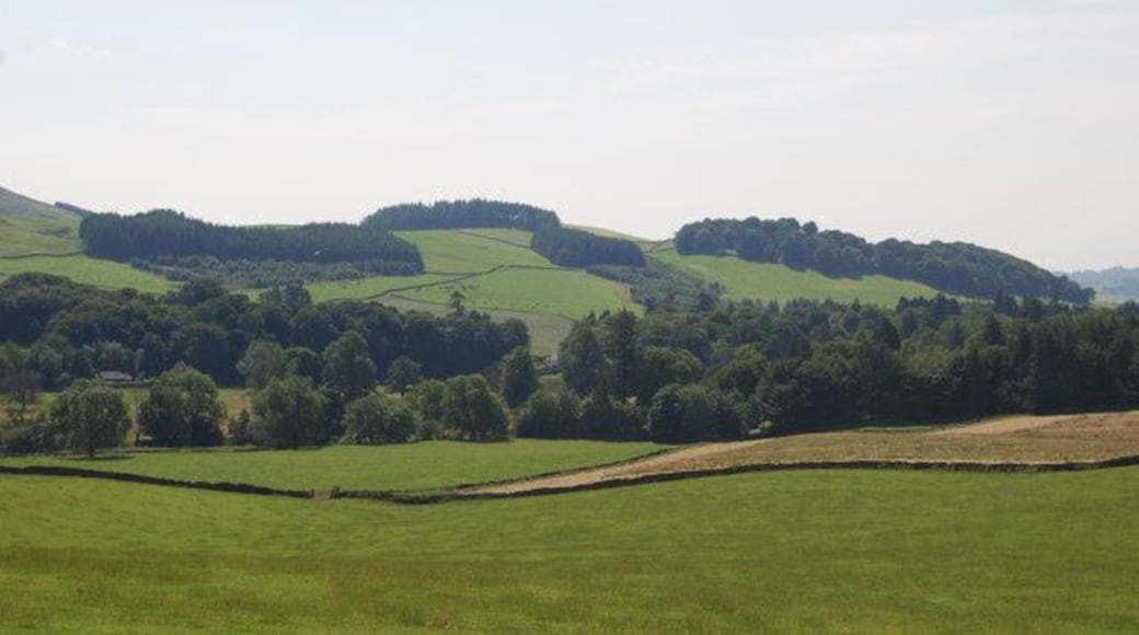 Breconside Woods from Hunterheck