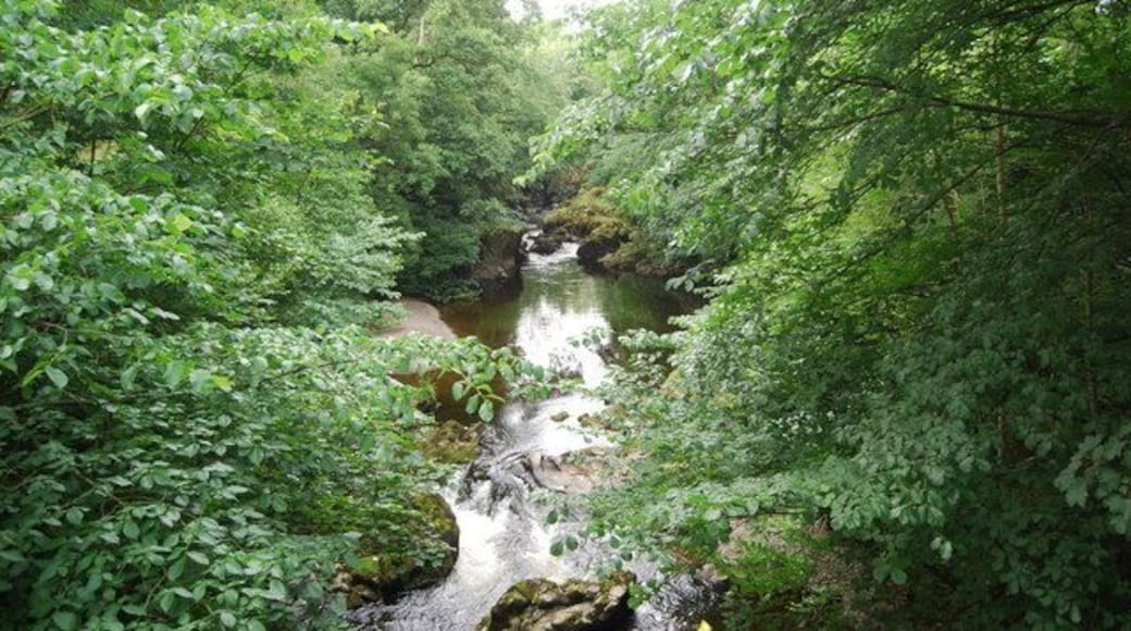 Evan Water north of Beattock