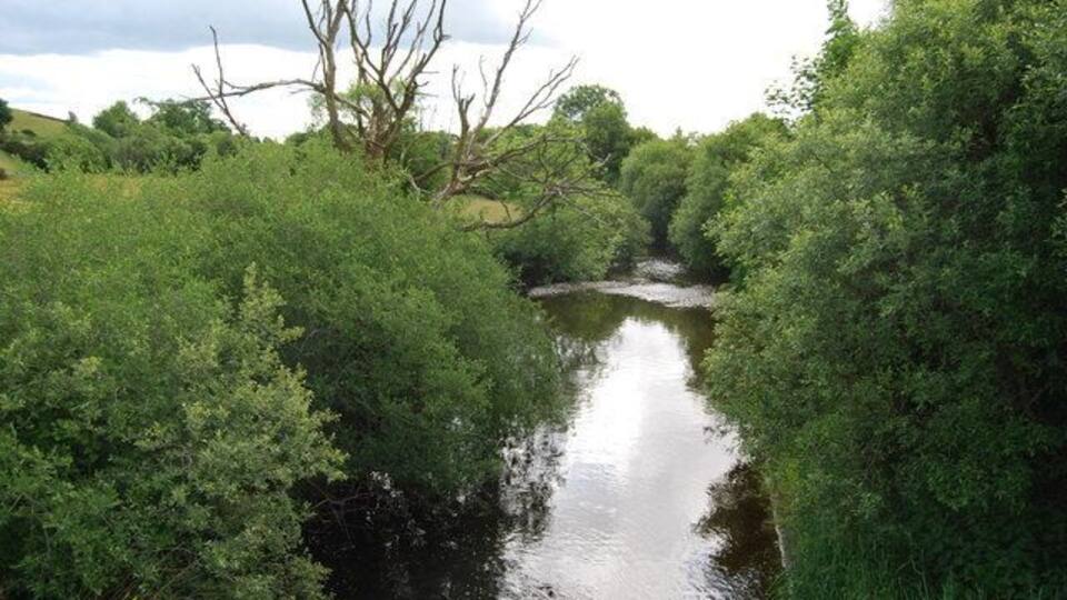 A river surrounded by dense greenery and trees.