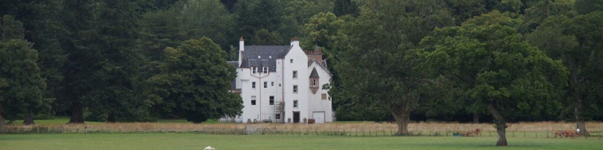 Una casa blanca rodeada de un campo verde exuberante y un bosque denso.