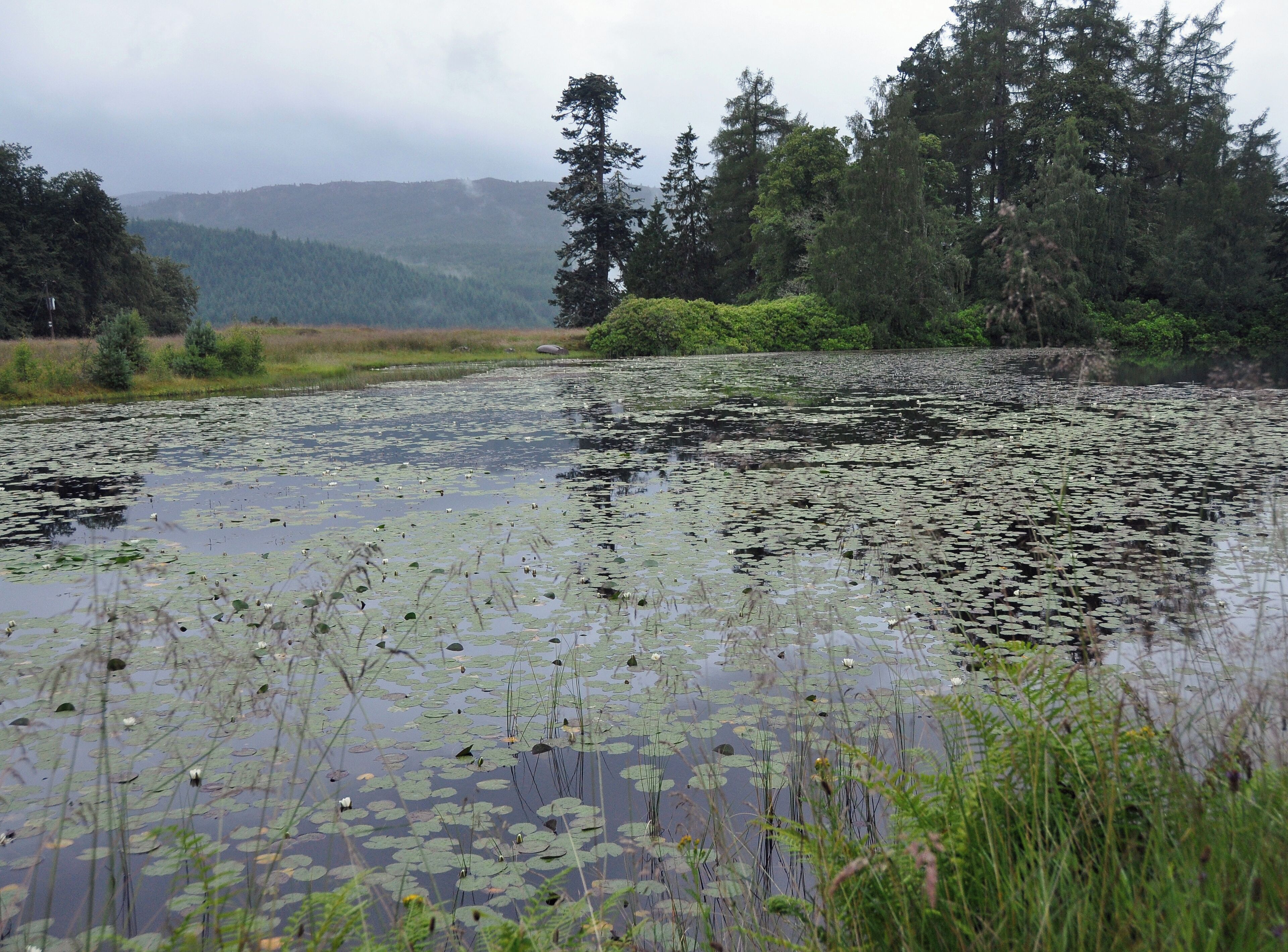 The pond in the grounds of Hilton Lodge, Glen Affric, in the Scottish Highlands.